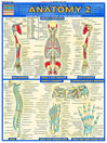 QuickStudy - Anatomy 2: Deep and Posterior By Vince Perez